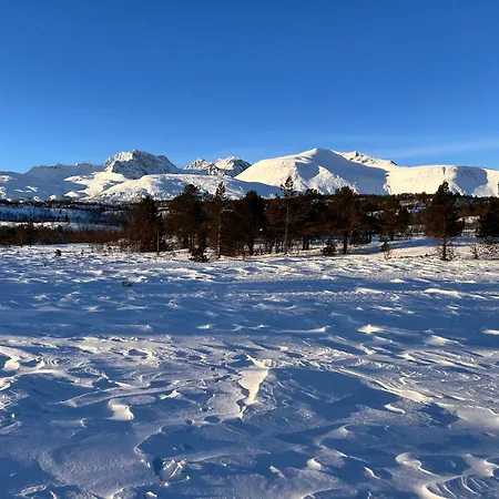 I Skinnelv, Lyngen Skinnelv