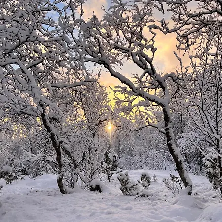 Casa vacanze I Skinnelv, Lyngen Skinnelv