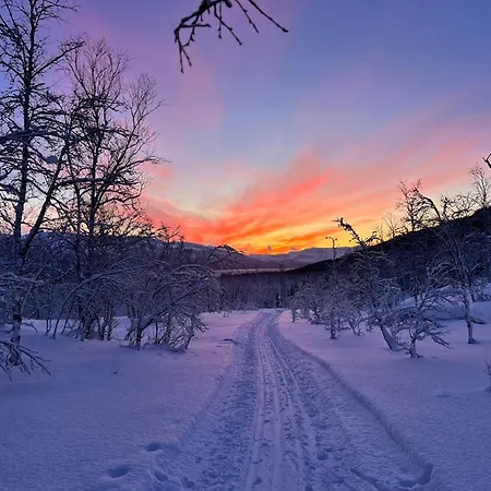 I Skinnelv, Lyngen *