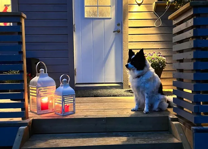 Casa vacanze I Skinnelv, Lyngen