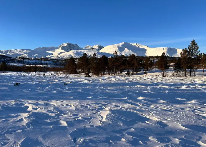 I Skinnelv, Lyngen Skinnelv