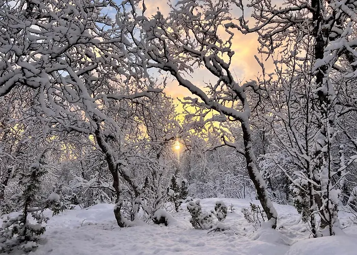 Casa vacanze I Skinnelv, Lyngen Skinnelv
