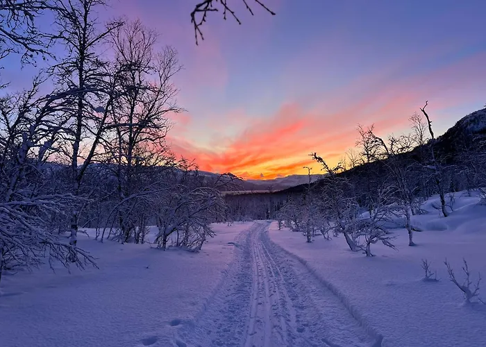 I Skinnelv, Lyngen *