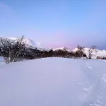 I Skinnelv, Lyngen Σπίτι διακοπών *