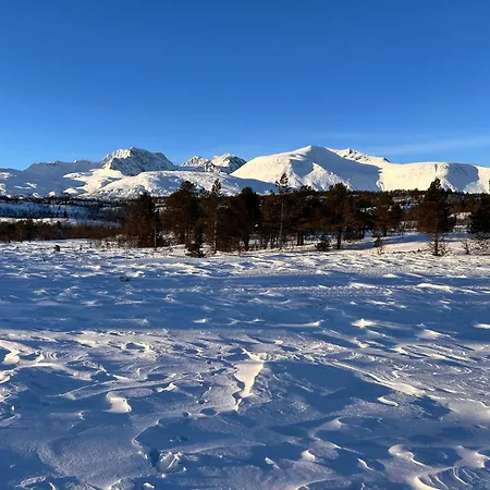 I Skinnelv, Lyngen Skinnelv