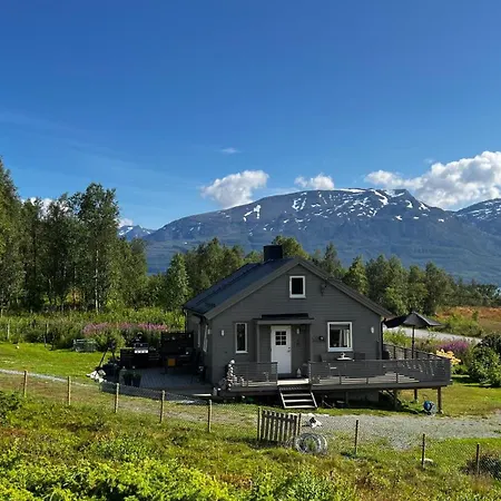 I Skinnelv, Lyngen