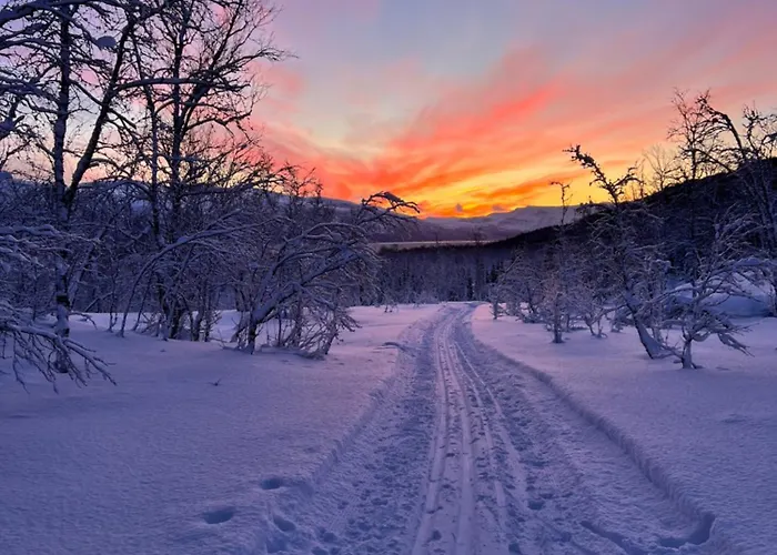 I Skinnelv, Lyngen Дом отдыха Skinnelv